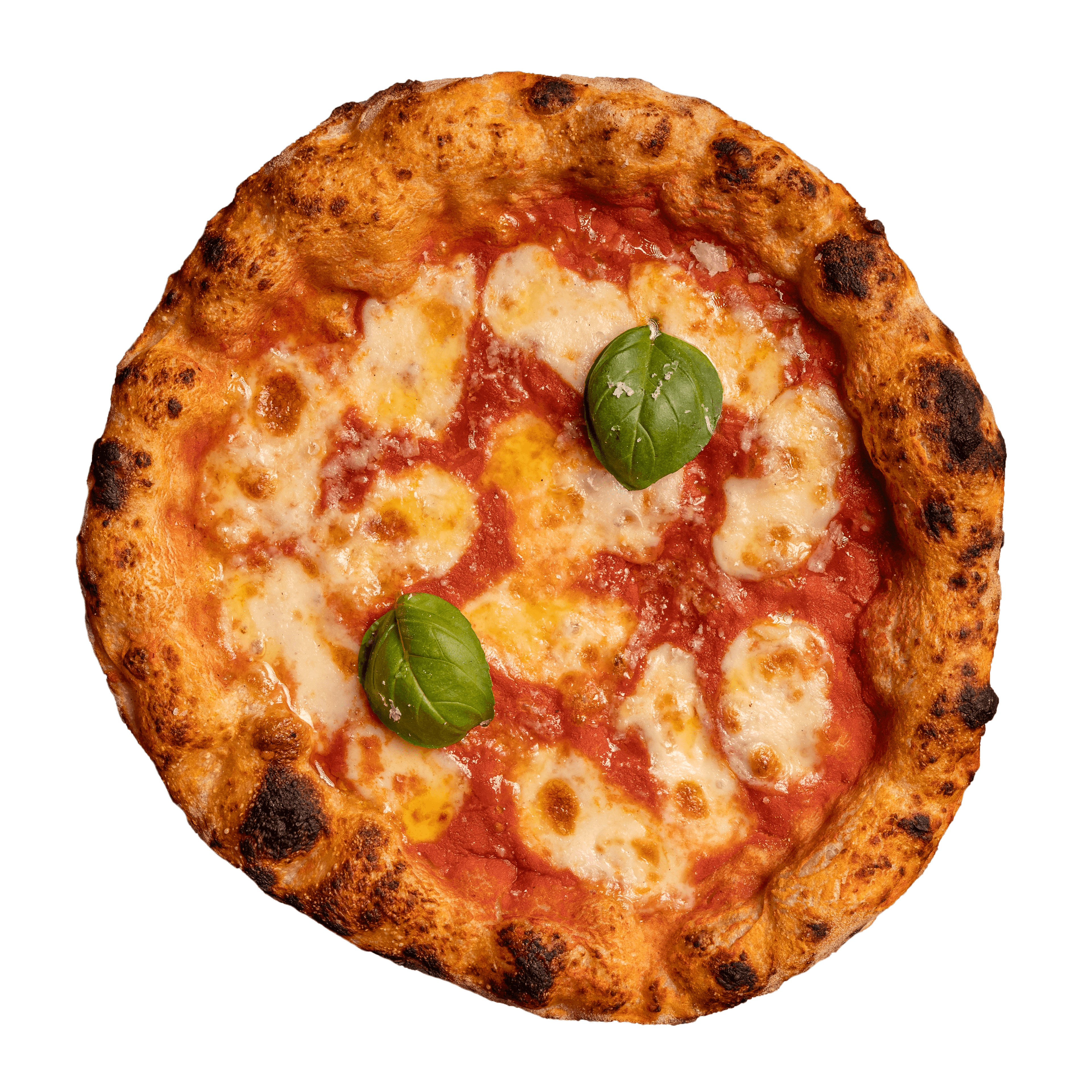 Pizza Margherita