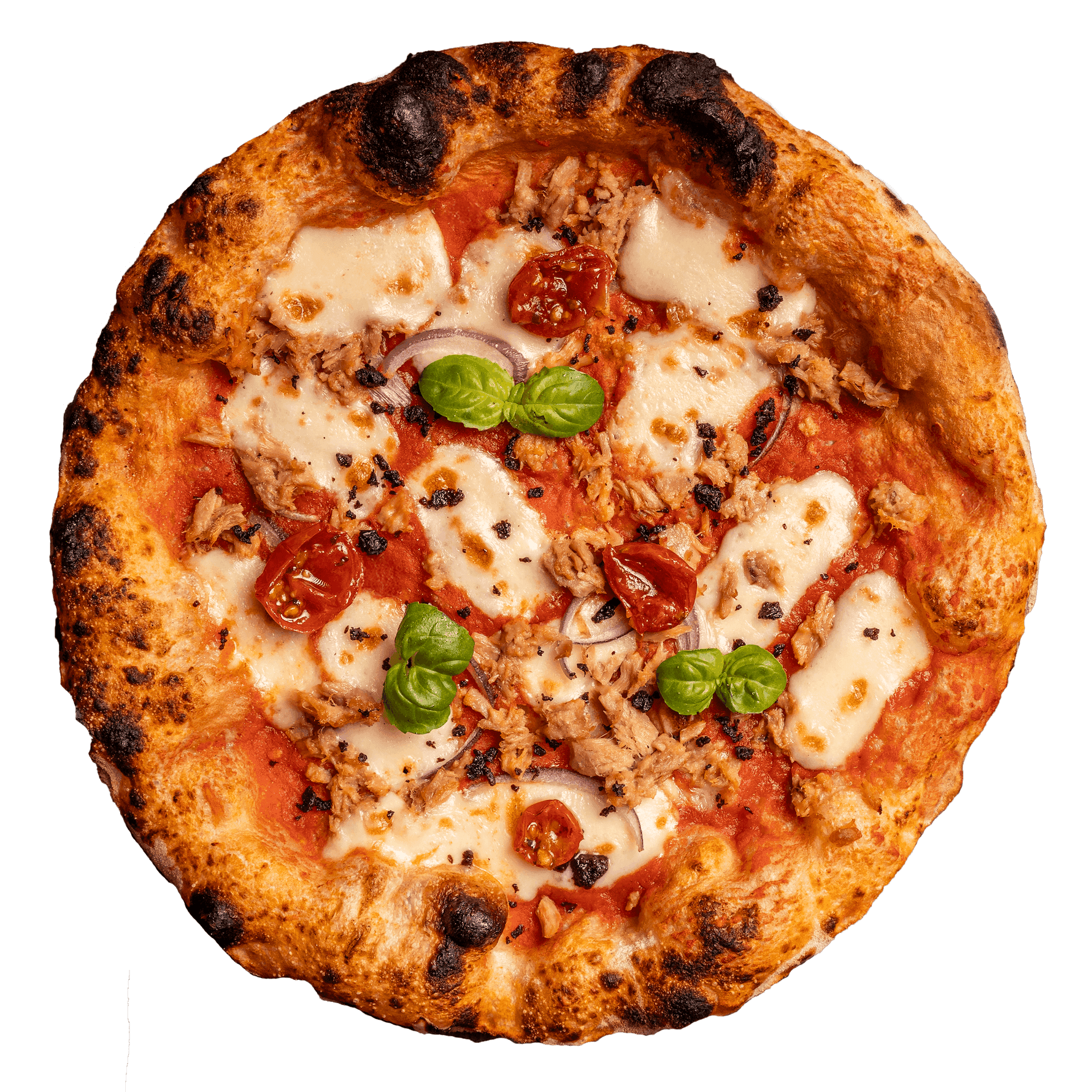 Pizza Thunfisch mit Mozzarella, Thunfisch und roter Zwiebel